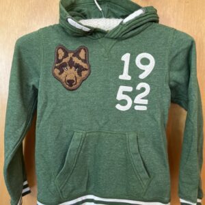 Boys hooded tracksuit top