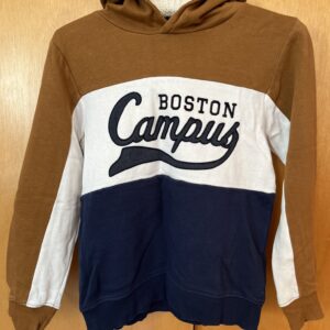Boys hooded tracksuit top
